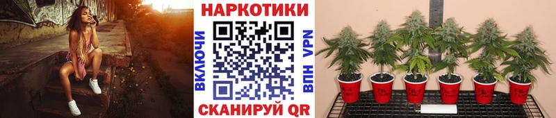 Купить COCAIN  Мефедрон  ГАШ  Бошки Шишки  Надым