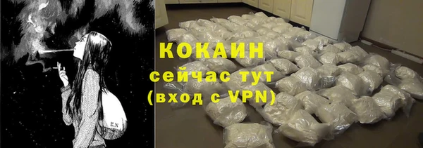 mix Бородино