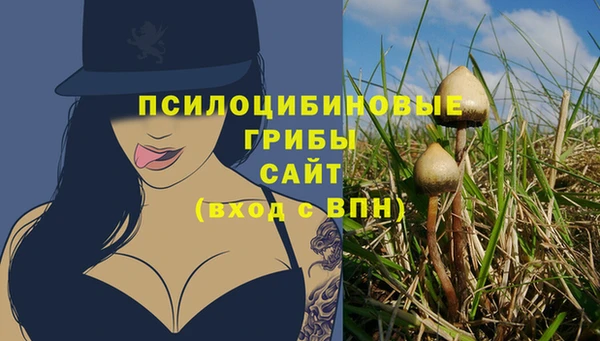 a pvp Бронницы
