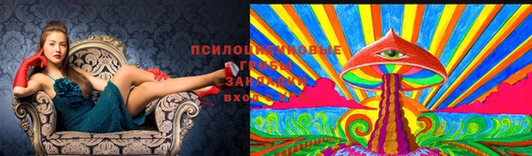 стаф Верхнеуральск
