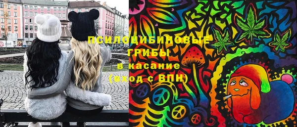 a pvp Бронницы